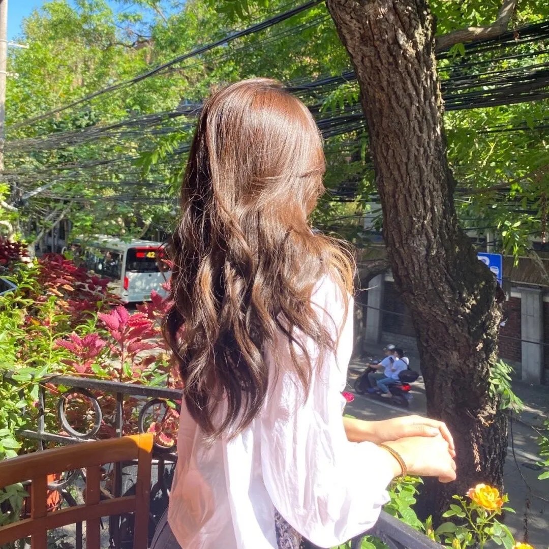 白莲花